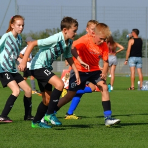 kinds-cup-fot-ewajak123.jpg