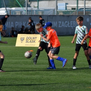 kinds-cup-fot-ewajak126.jpg