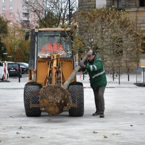 drzewa-na pl-slowianskim-fot-zjak46.jpg