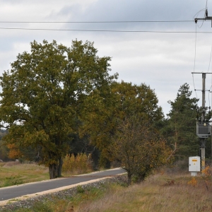 sciezka-rowerowa-lisowice-fot-ewajak61.jpg