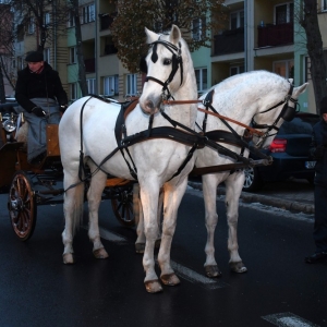 barborka-2023-fot-ewajak189.jpg