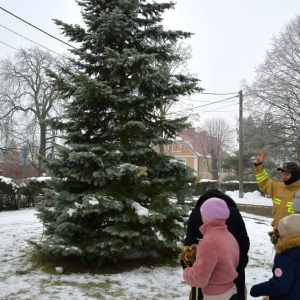 chiunka-kunice-fot-zjak01.jpg