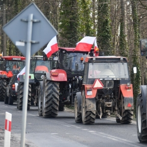 protest-rolnikow-fot-zjak085.jpg