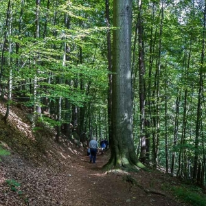 zagorze-kladka-fot-ewajak09.jpg