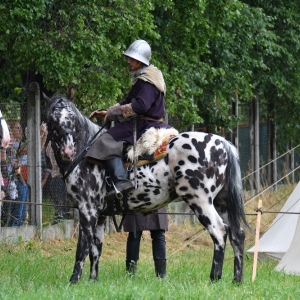 bitwa-pod-legnica-fot-ewajak138.jpg