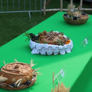 dozynki-sobin-fot-tomekjozwiak05.jpg