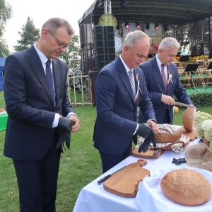 dozynki-sobin-fot-tomekjozwiak11.jpg