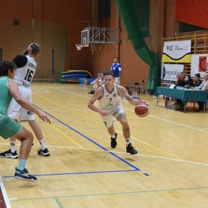 basket_legnica_polonia_dom_swidnica_fot_dawid_soltys03.jpg