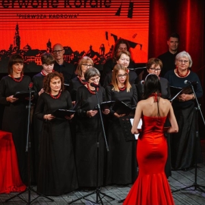 obywatel-jawora-fot-UM15.jpg