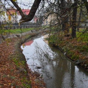 wies-budziszow-fot-ewajak072.JPG