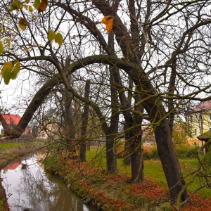 wies-budziszow-fot-ewajak073.JPG