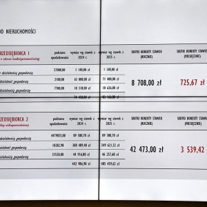 glosowanie-podw-nieruch-fot-ewajak24.JPG