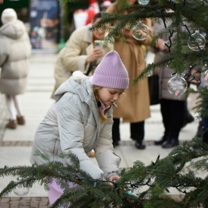 07.12.24-UBIERANIE-CHOINKI-JARMARK-ZLOTORYJA-FOT-BS_116.jpg