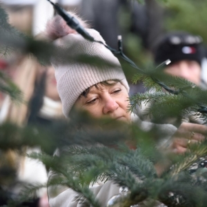 07.12.24-UBIERANIE-CHOINKI-JARMARK-ZLOTORYJA-FOT-BS_122.jpg