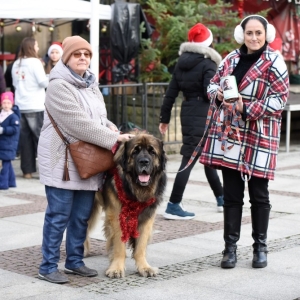 07.12.24-UBIERANIE-CHOINKI-JARMARK-ZLOTORYJA-FOT-BS_9.jpg