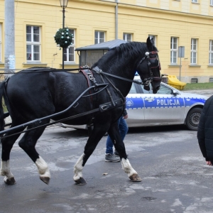 orszak_trzech_kroli_leg_pole-fot-dawid-soltys134.jpg