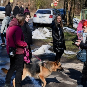 walentynki-schronisko-fot-zjak03.JPG