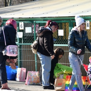 walentynki-schronisko-fot-zjak19.JPG