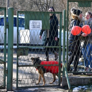 walentynki-schronisko-fot-zjak32.JPG