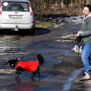 walentynki-schronisko-fot-zjak57.JPG