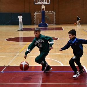 basket_legnica_greenstar_zg-fot-dawid-soltys19.JPG