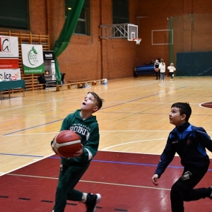 basket_legnica_greenstar_zg-fot-dawid-soltys20.JPG