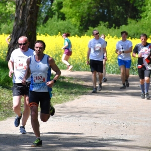bieg-prochowice-fot-zjak195.JPG