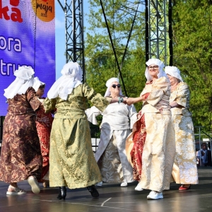swieto_flagi_legnica-fot-dawid-soltys181.jpg