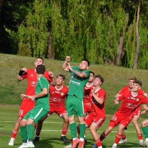 gornik-miedzII-fot-ewajak139.JPG