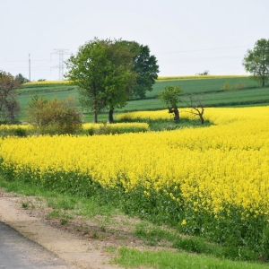 cyklostrada-pielgrzymka-fot-zjak015.JPG