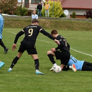 dab-arka-fot-ewajak052.JPG
