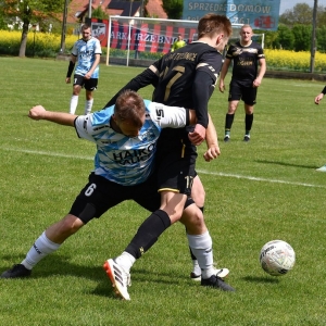dab-arka-fot-ewajak068.JPG