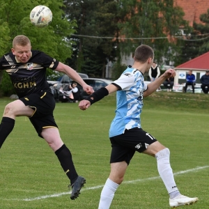 dab-arka-fot-ewajak122.JPG