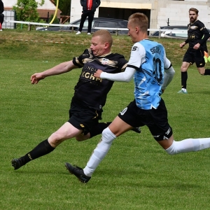 dab-arka-fot-ewajak147.JPG