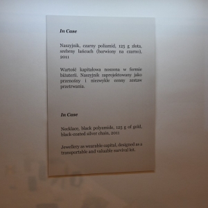 efekt_wow_srebro-fot-dawid-soltys021.jpg