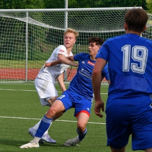 miedz2-karkonosze-fot-ewajak008.JPG