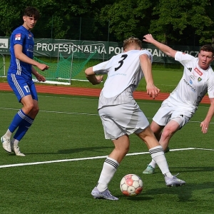 miedz2-karkonosze-fot-ewajak022.JPG