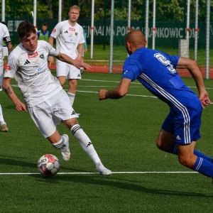 miedz2-karkonosze-fot-ewajak062.JPG