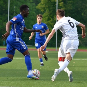 miedz2-karkonosze-fot-ewajak070.JPG