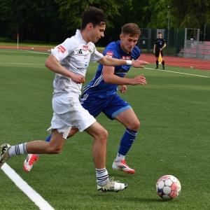 miedz2-karkonosze-fot-ewajak112.JPG