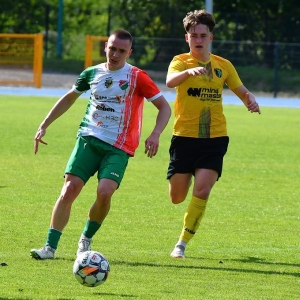 akademia-pilkarska-zlotoryja-fot-zjak013.JPG