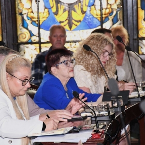 głosowanie-sesja-jawor-fot-zjak26.JPG