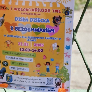 dzien-dziecka-schronisko-fot-zjak001.JPG