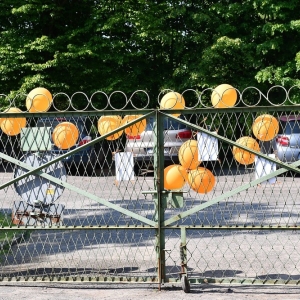 dzien-dziecka-schronisko-fot-zjak013.JPG
