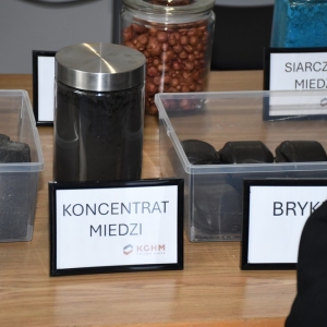kongres-kghm-fot-zjak176.JPG