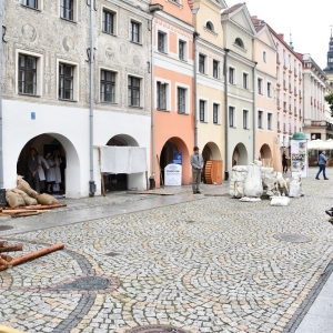 legnica_pamieta-o-powstancach-fot-dawid-soltys016.jpg