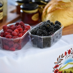 30-biesiada-kresowa-pielgrzymka-stoiska-komisja-nagrody-fot-BS_15.jpg