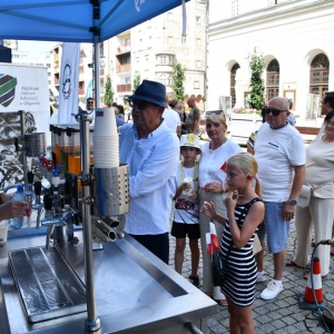 swieto_wojska_polskiego_legnica_fot_dawid_soltys274.JPG