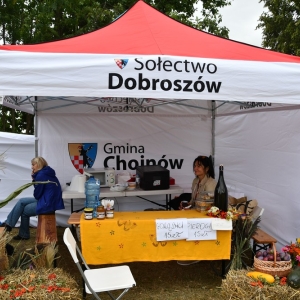 dozynki_konradowka_fot_dawid_soltys001.JPG