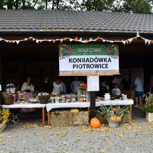 dozynki_konradowka_fot_dawid_soltys064.JPG